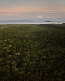 Our environmental impact